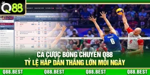 Cá Cược Bóng Chuyền Q88 – Tỷ Lệ Hấp Dẫn Thắng Lớn Mỗi Ngày
