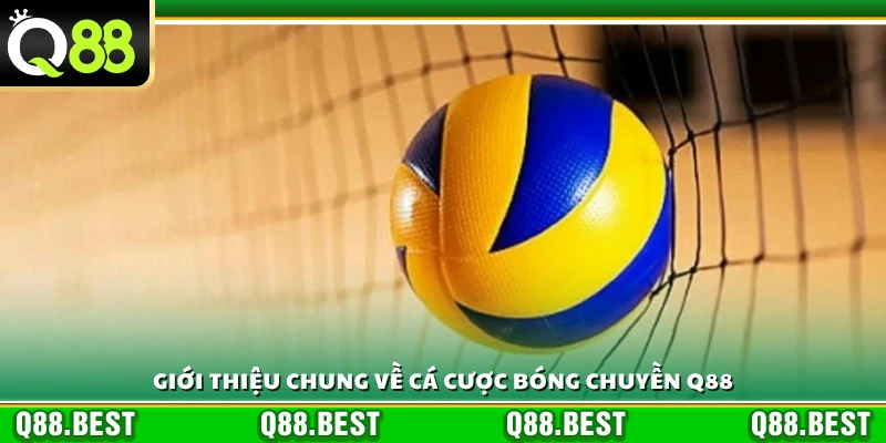 Giới thiệu sơ lược về cá cược bóng chuyền Q88