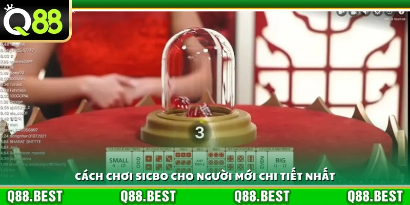 Hướng dẫn cách chơi sicbo cho người mới từ A đến Z 