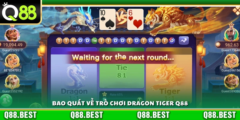 Khái quát dragon tiger Q88 cho người mới