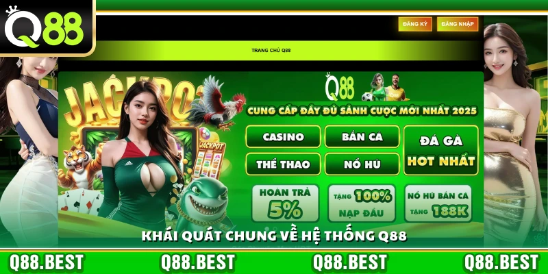 Giới thiệu Q88 - Đôi nét sơ lược về nền tảng 