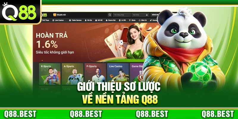 gioi-thieu-so-luoc-ve-nen-tang-q88
