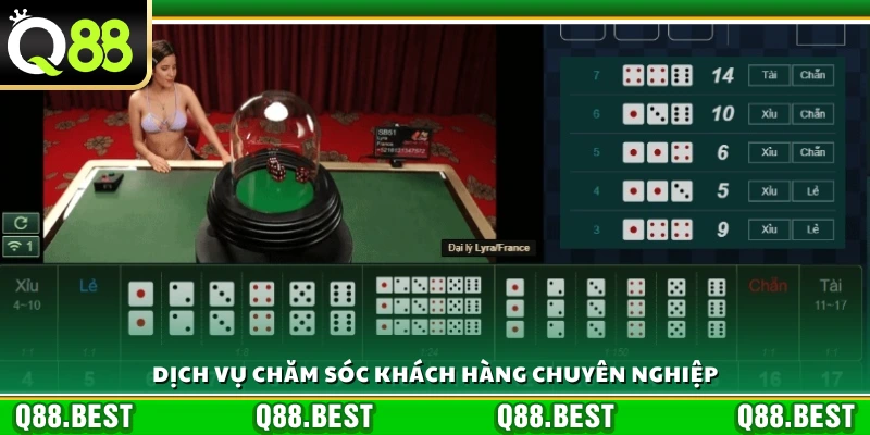 Những lựa chọn đặt cược phổ biến