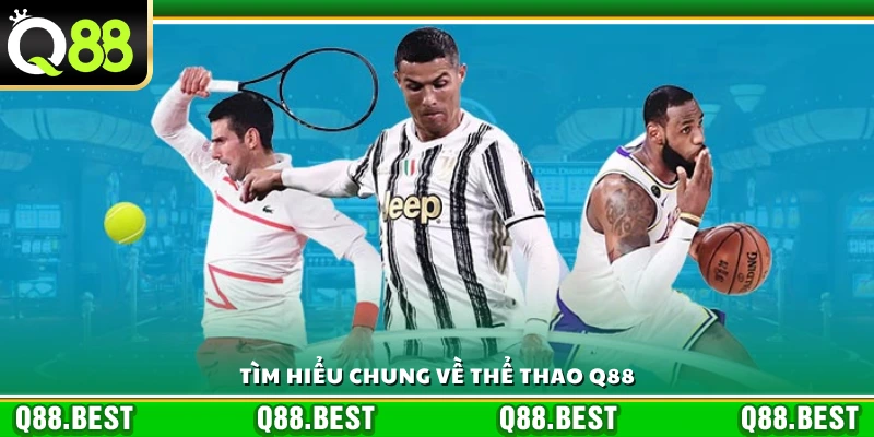 Khái quát sơ lược về chuyên mục Thể Thao Q88